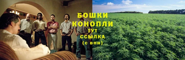 ECSTASY Новодвинск
