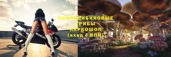 Альфа ПВП Нея