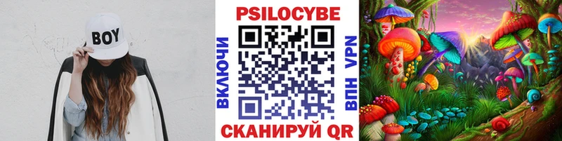 Псилоцибиновые грибы Psilocybe  shop официальный сайт  Белореченск  где продают  